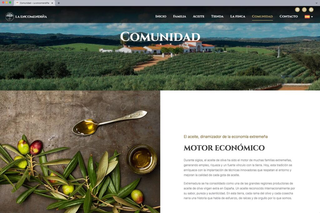 Vista de la web de La Encomendiña Comunidad